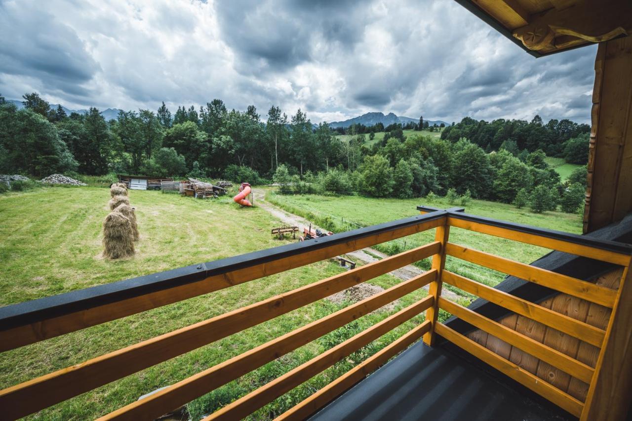 Domek Regionalny Dan Pio 2 Zakopane Bagian luar foto